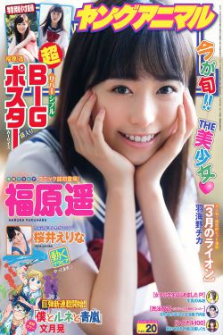 局中人电视剧全集免费观看完整版